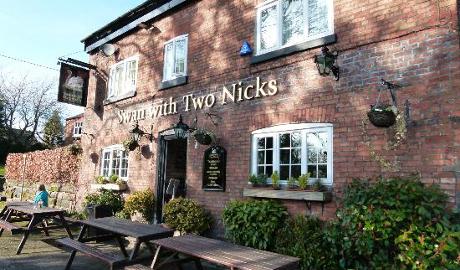 The Swan with Two Nicks