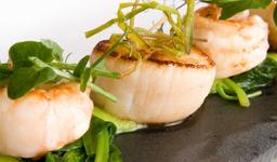 Gibbon Bridge Hotel & Restaurant