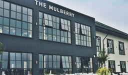 The Mulberry