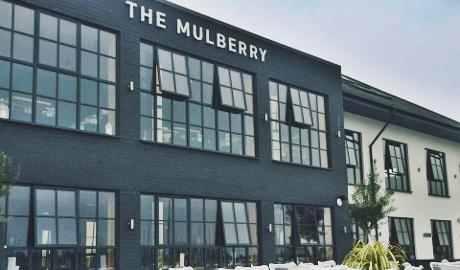 The Mulberry